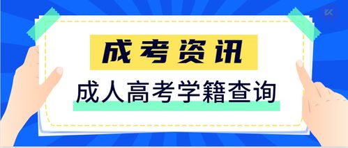 學籍查詢與教育信息咨詢 一站式解決您的教育信息需求